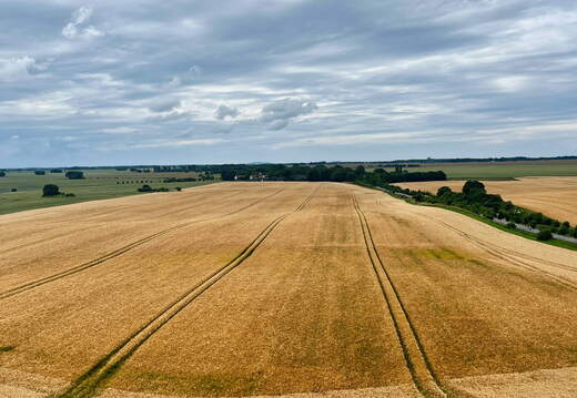 24-07-01 14-18-25 0079